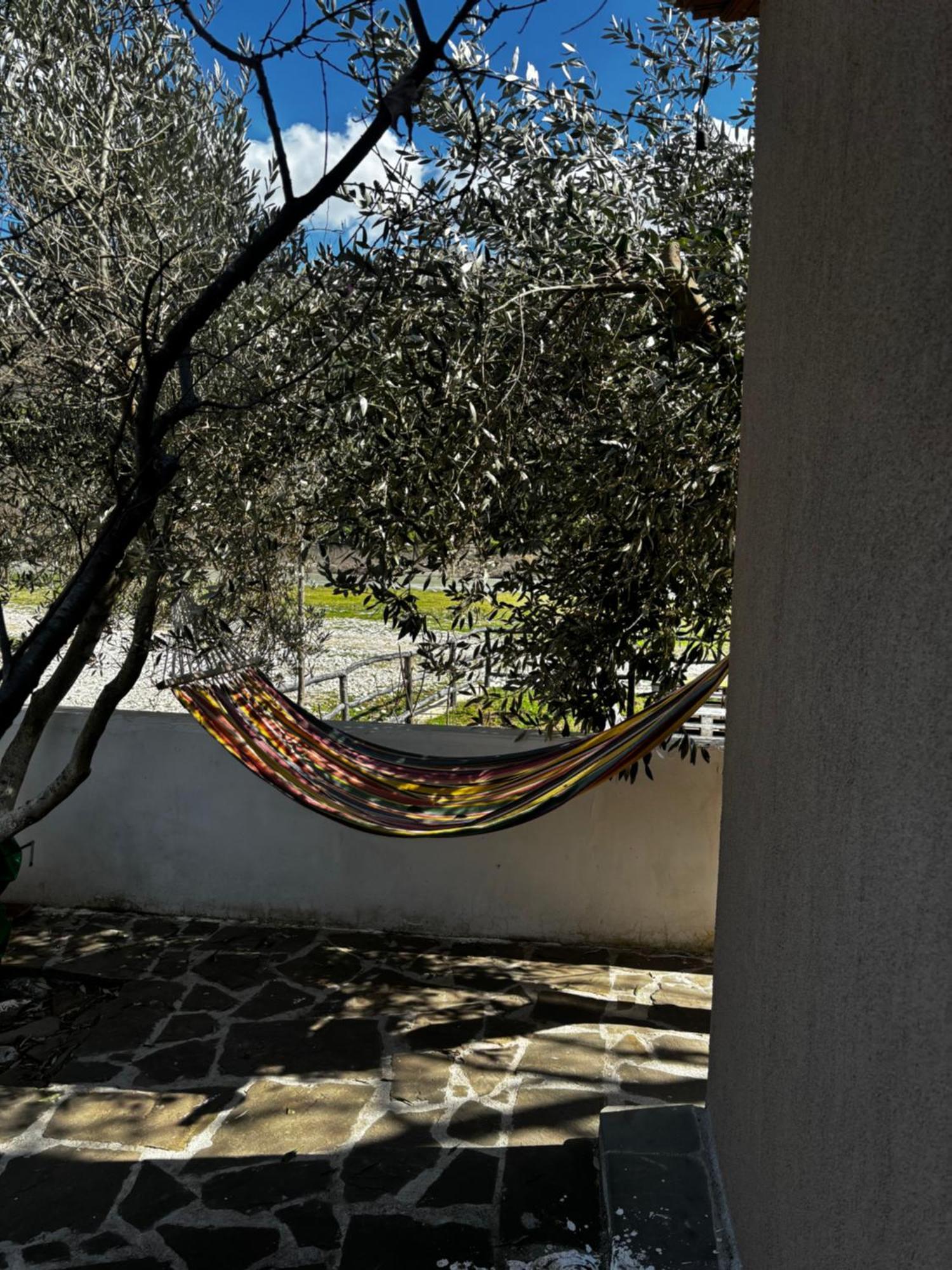 Bujtina Vjosa Hotell Memaliaj Exteriör bild